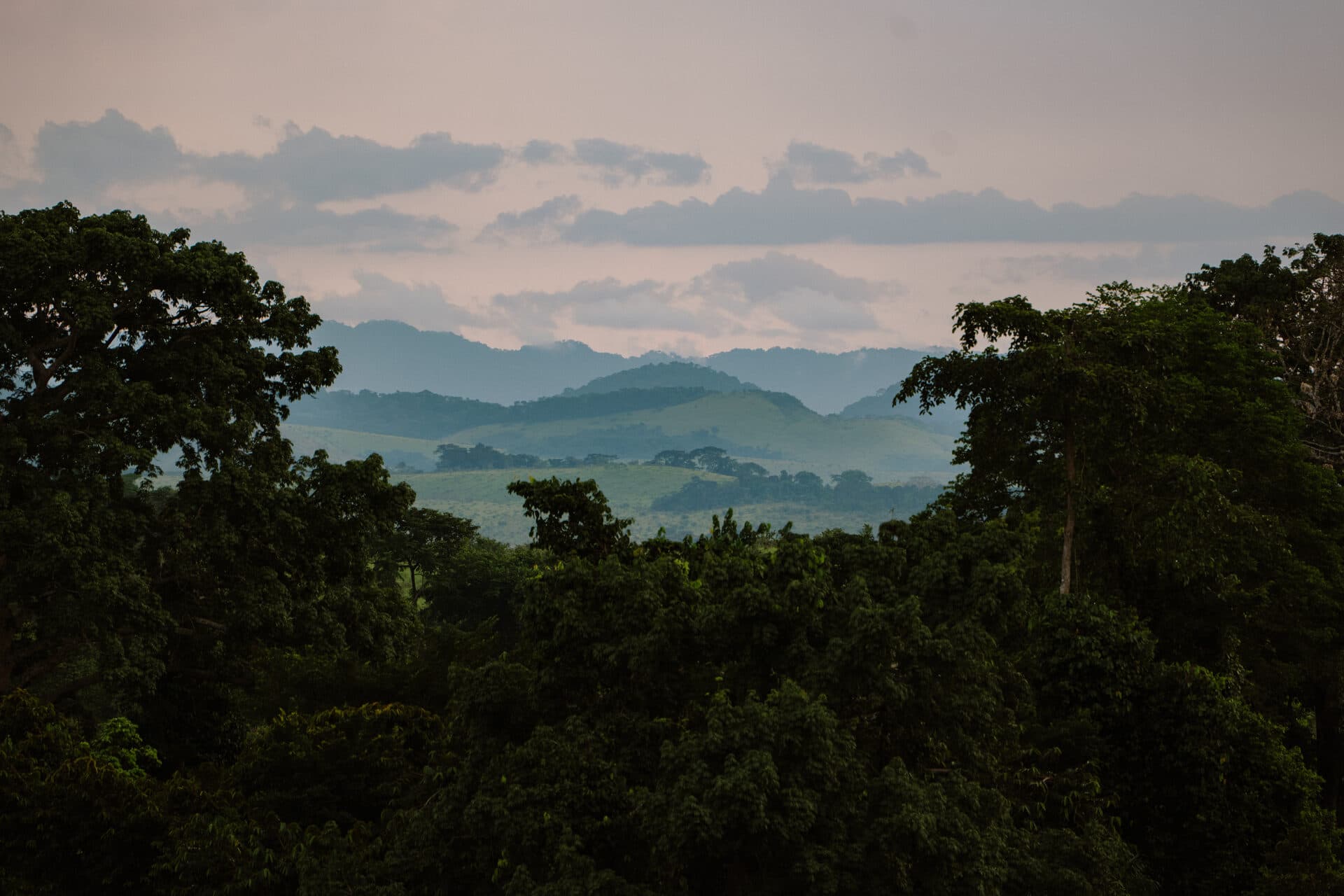 Second Art Expedition Congo